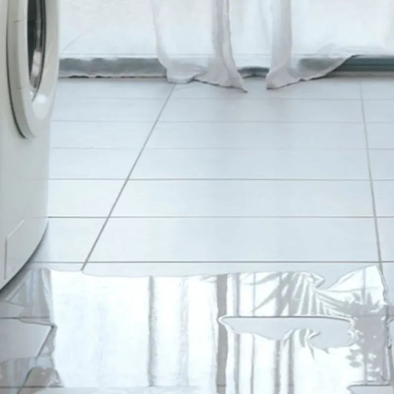 Appliance Leak Cleanup in Cooke County, TX