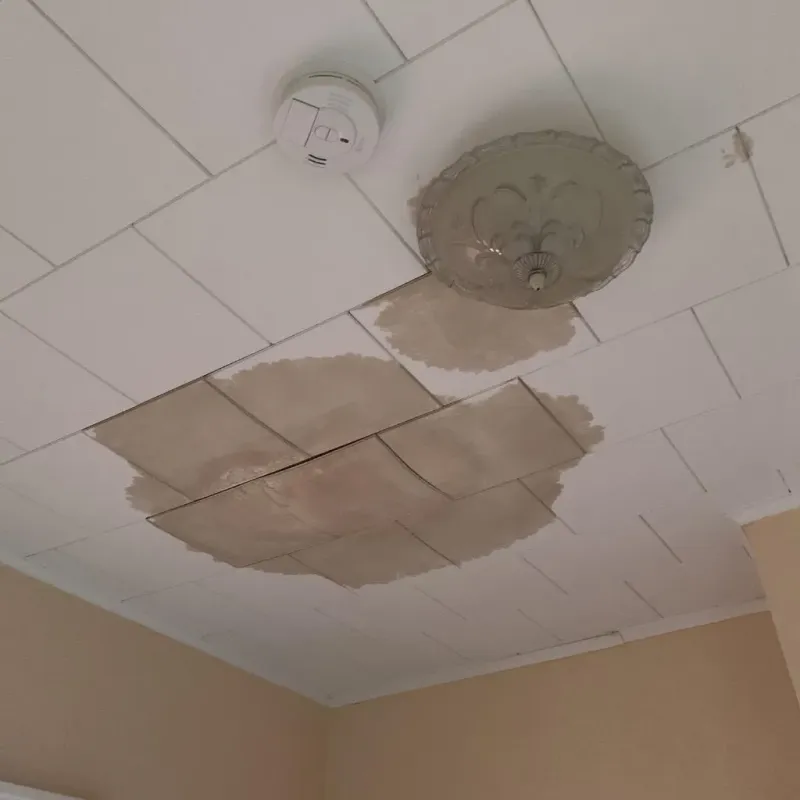 Ceiling Water Damage Repair in Cooke County, TX