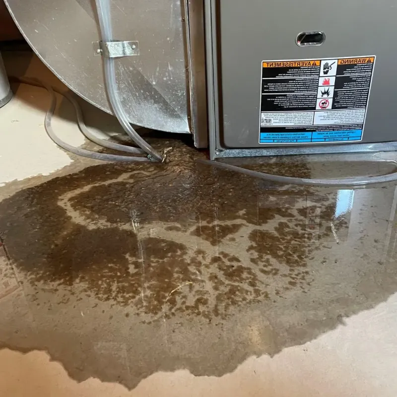 Pipe Burst and Leak Restoration in Cooke County, TX