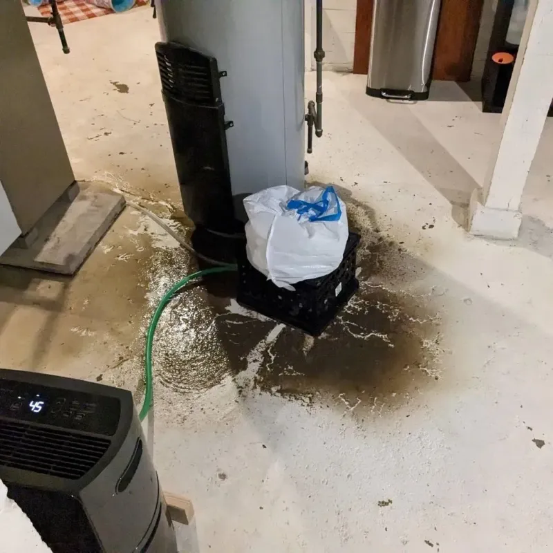 Sewage Backup Cleanup Service in Cooke County, TX